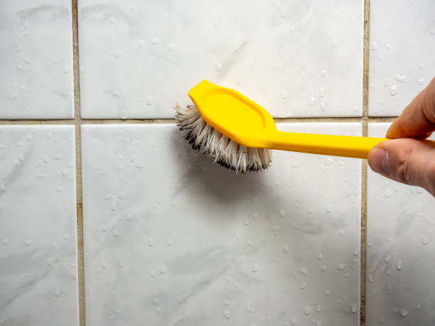 Best Emergency Mold Removal  in Harvard, NE