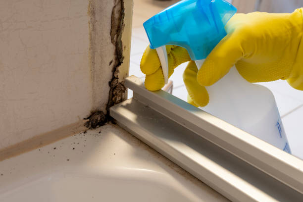 Crawl Space Mold Removal in Harvard, NE