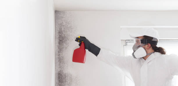 Harvard, NE Mold Removal Company