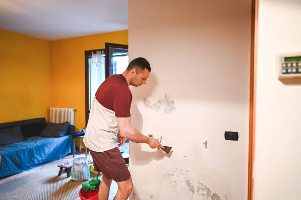 Best Commercial Mold Removal  in Harvard, NE